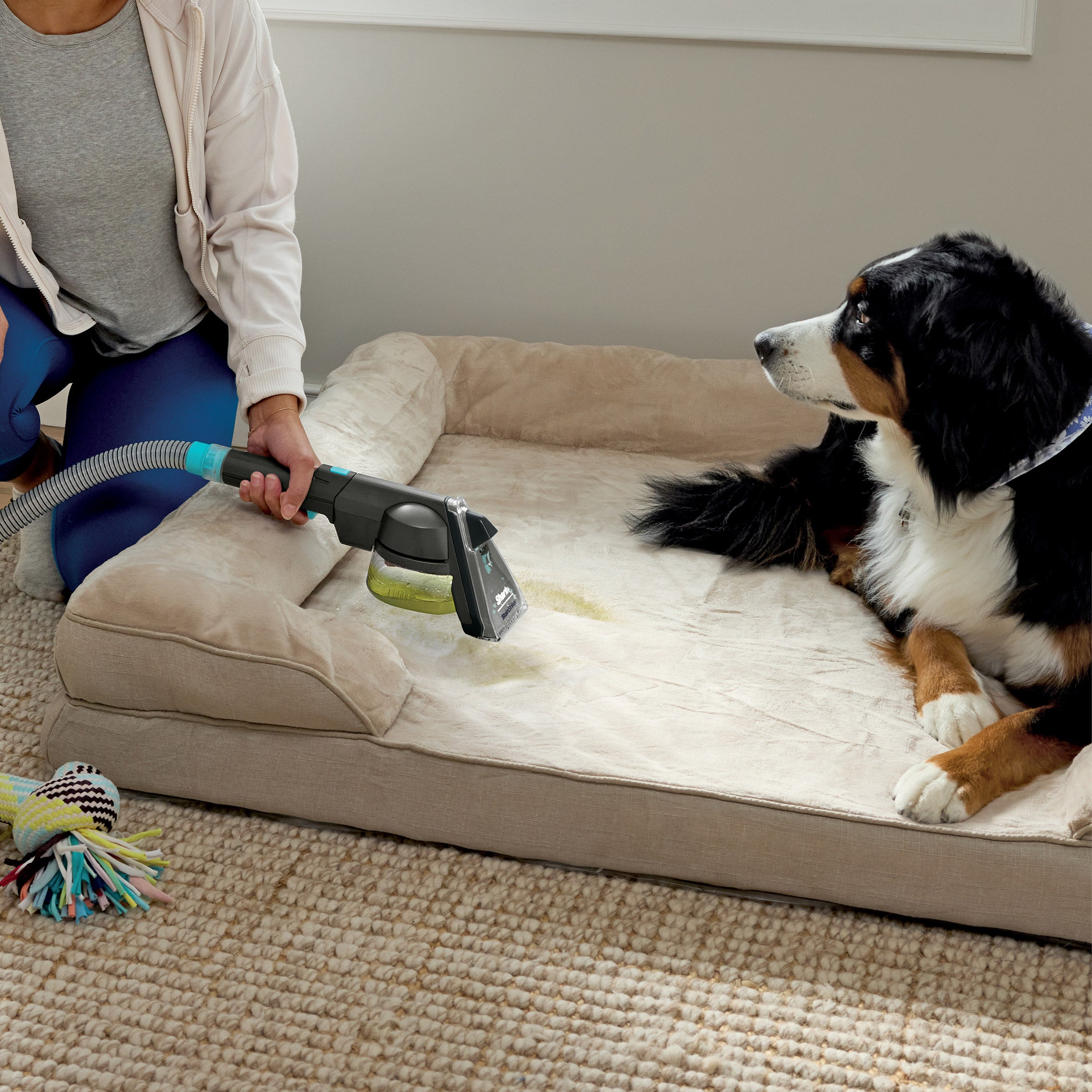 Shark Carpetxpert with Stainstriker Carpet & Upholstery Cleaner