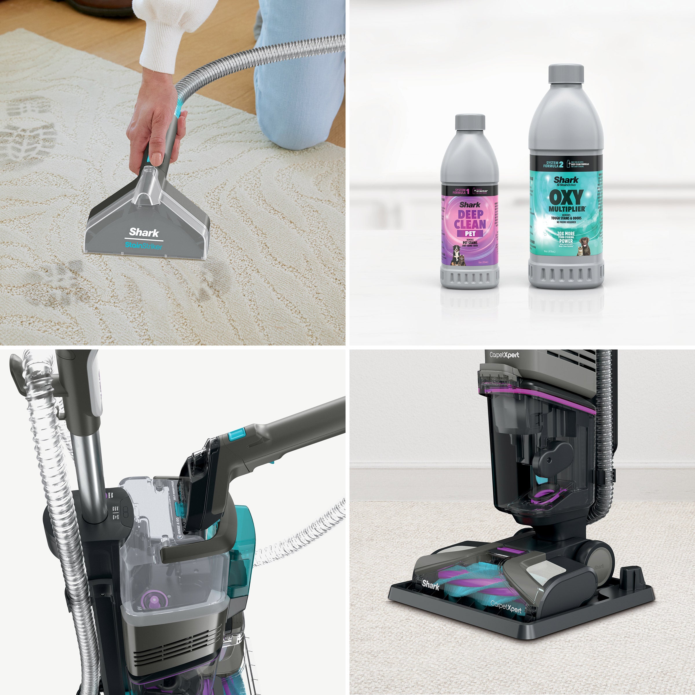 Shark Carpetxpert with Stainstriker Carpet & Upholstery Cleaner